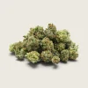 Platinum Rockstar – Indica Dominant Hybrid – AAA – Smalls