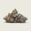 Strawberry Gary – Sativa Dominant Hybrid – AAA