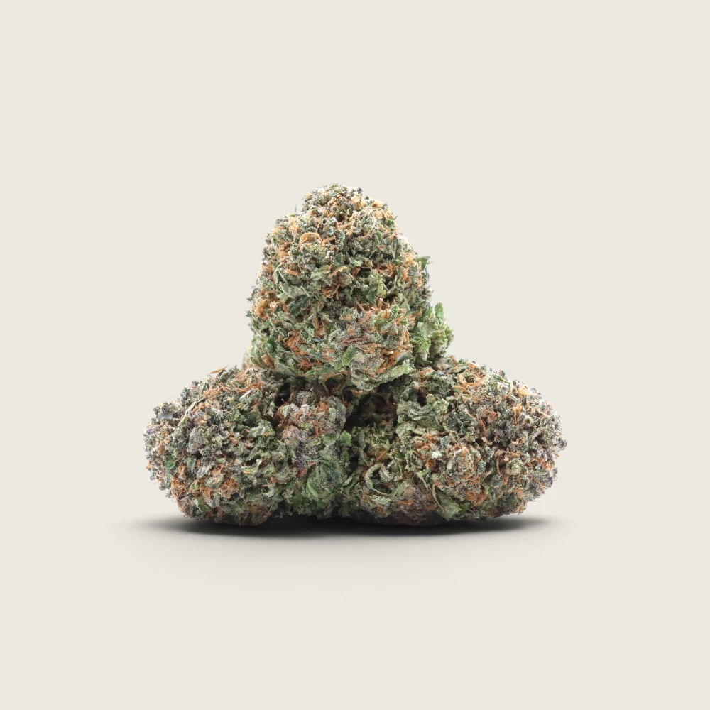 Tom Ford Pink Kush - Indica Dominant Hybrid - AA