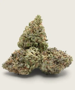 Trainwreck - Sativa Dominant Hybrid - AA
