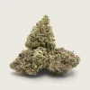 Trainwreck – Sativa Dominant Hybrid – AA